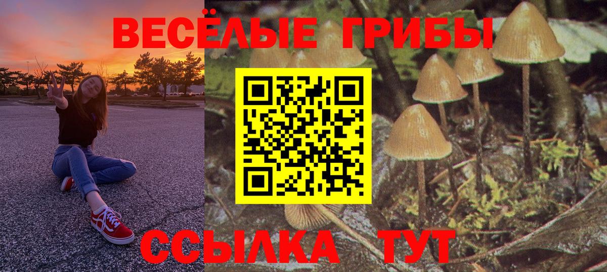 Кузнецк  Псилоцибиновые грибы Cubensis  Галлюциногенные грибы Magic Shrooms  Вход с VPN 