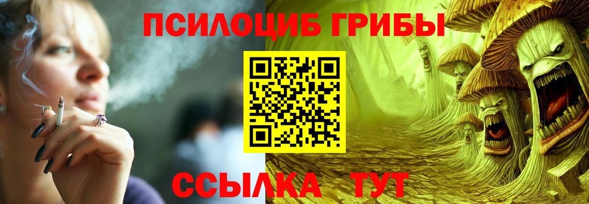 Галлюциногенные грибы Psilocybe Кузнецк